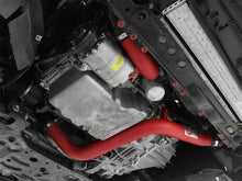 Load image into Gallery viewer, aFe BladeRunner 2.5in Red Intercooler Tubes Hot and Cold Side 12-16 Ford Focus ST 2.0L (t)